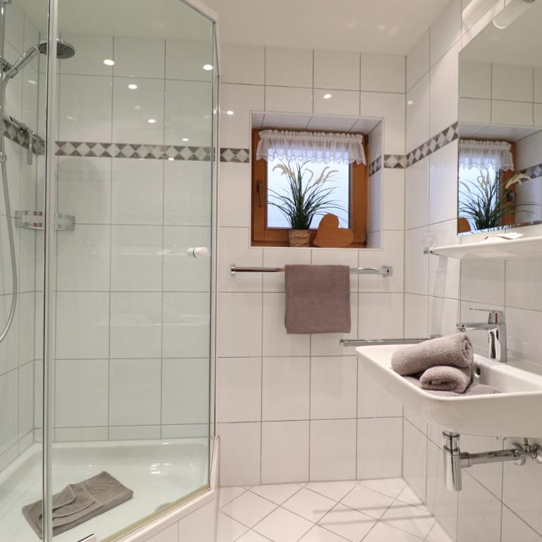 Landhaus Am Schelmenhag 13a - Apartment mit 1 Schlafzimmer und Terrasse - 5