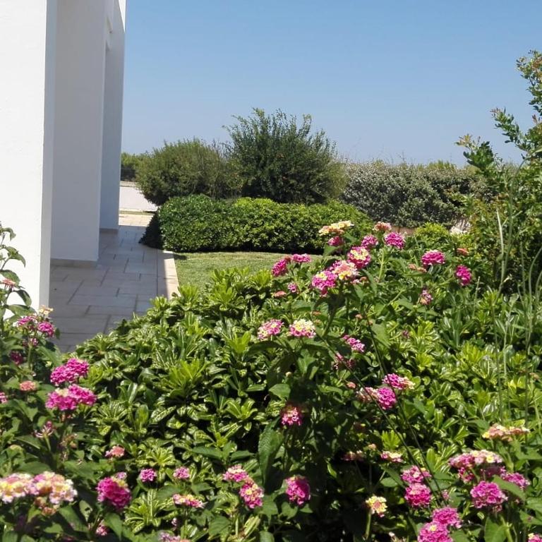 Villa Maria - Villa - 15