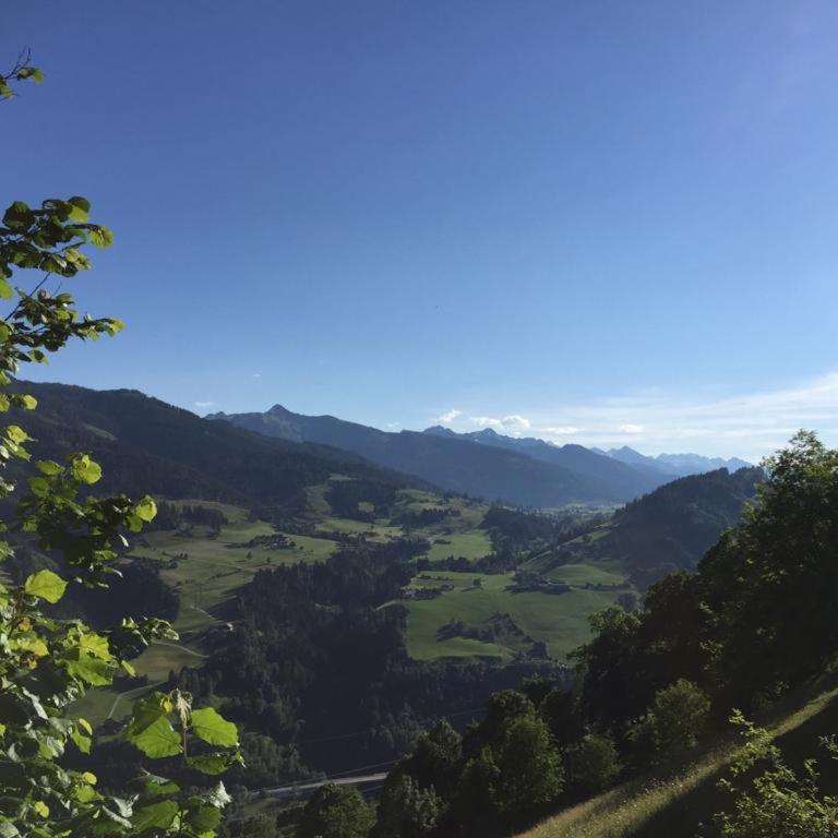 Biobergbauernhof Bergzeit Apartment in Goldegg - Apartment mit Blick auf die Berge - 20