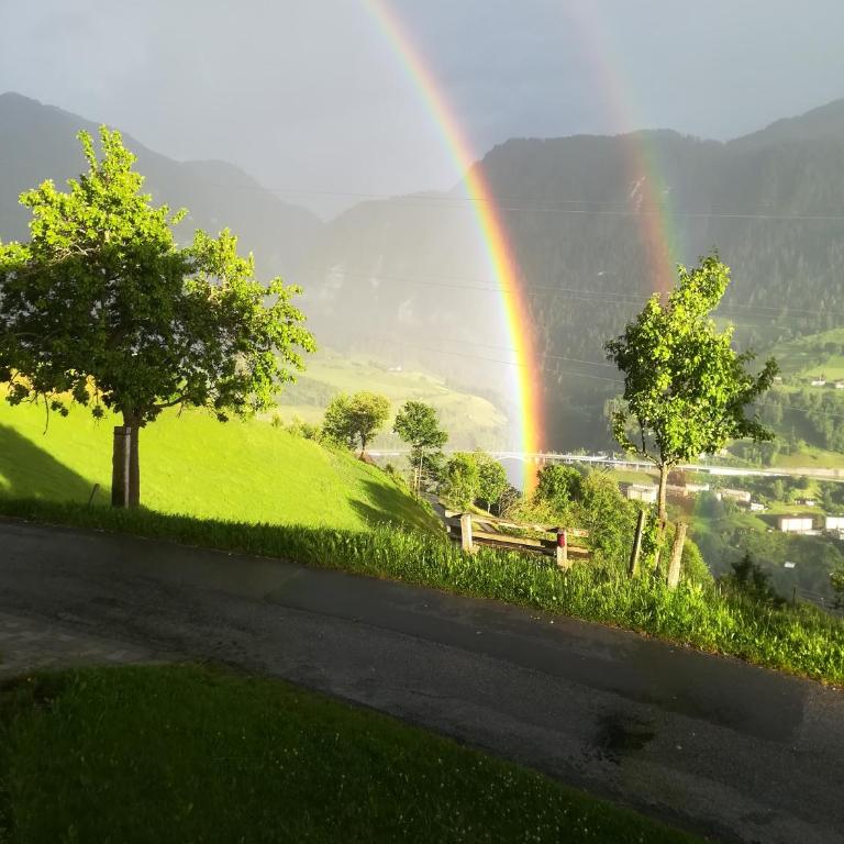 Biobergbauernhof Bergzeit Apartment in Goldegg - Apartment mit Blick auf die Berge - 18