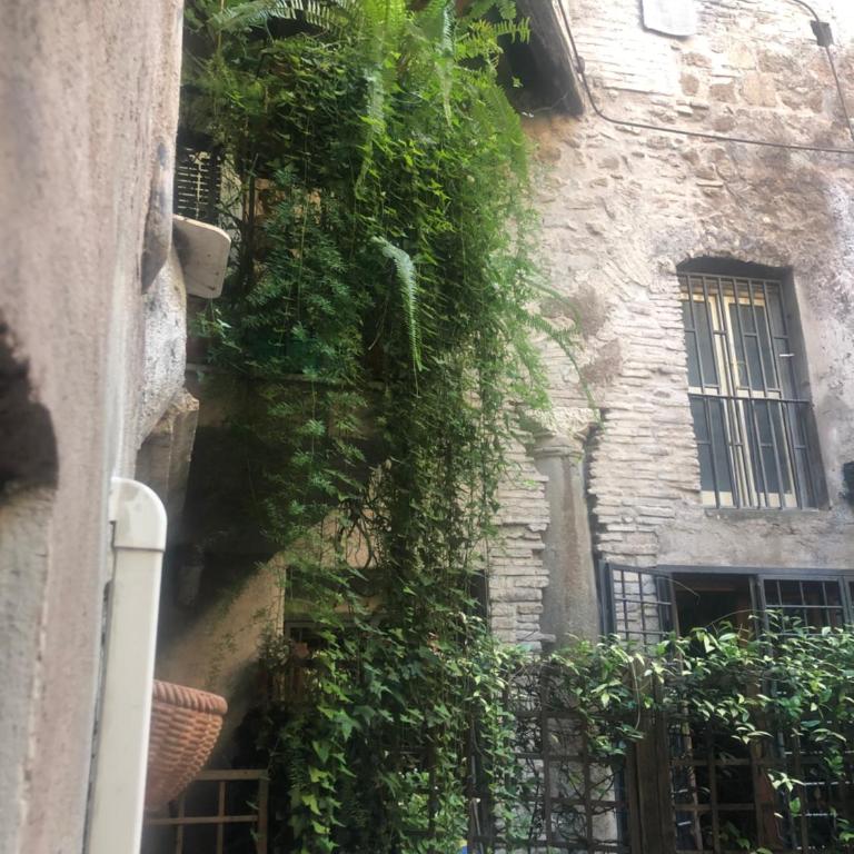 Pantheon, Campo de fiori mini garden - Apartment - 33