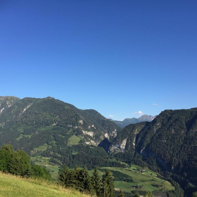 Biobergbauernhof Bergzeit Apartment in Goldegg - Apartment mit Blick auf die Berge - 21