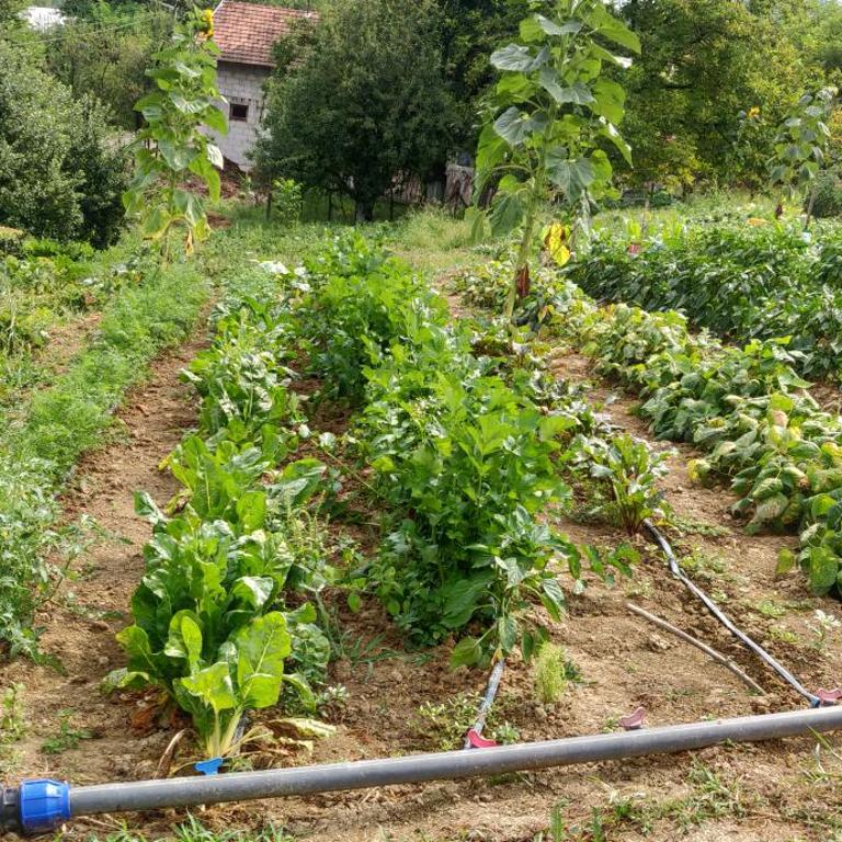Haus Viktoria near Banja Luka - Two-Bedroom Apartment - 38