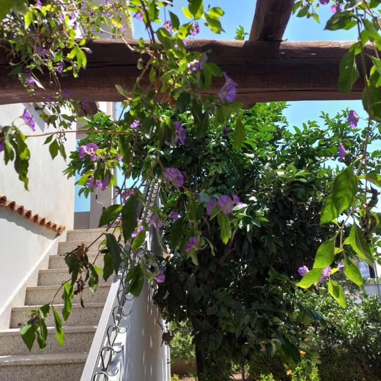 Il Lentischio holiday home - Appartamento con 1 Camera da Letto e Vista Giardino - 2