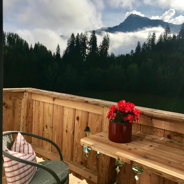 Landhaus Barbara - One-Bedroom Apartment with Shower - 17