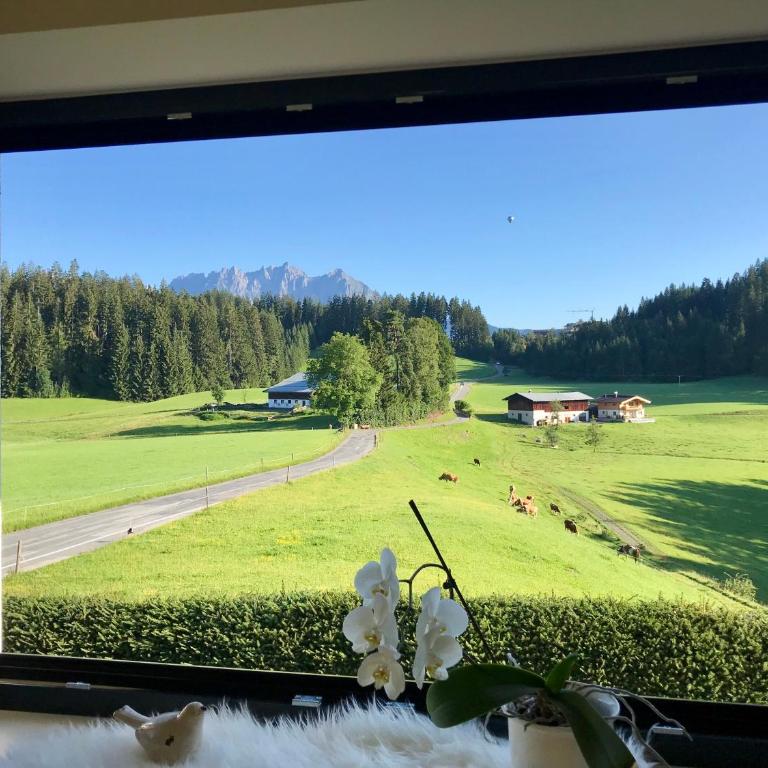 Landhaus Barbara - Two-Bedroom Apartment with Shower - 18