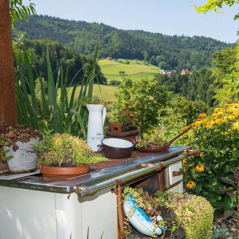 Exklusives Naturjuwel - Kühbartl Simmerl - Casa Vacanze - 73