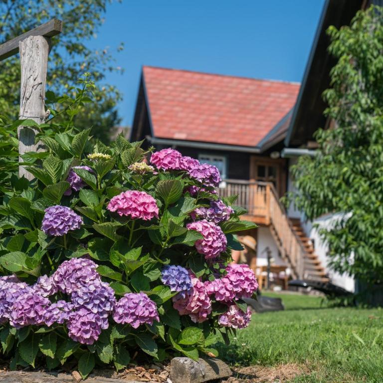 Exklusives Naturjuwel - Kühbartl Simmerl - Casa Vacanze - 97