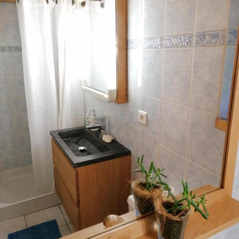 Studio Nature - Appartement - Vue sur Jardin - 14