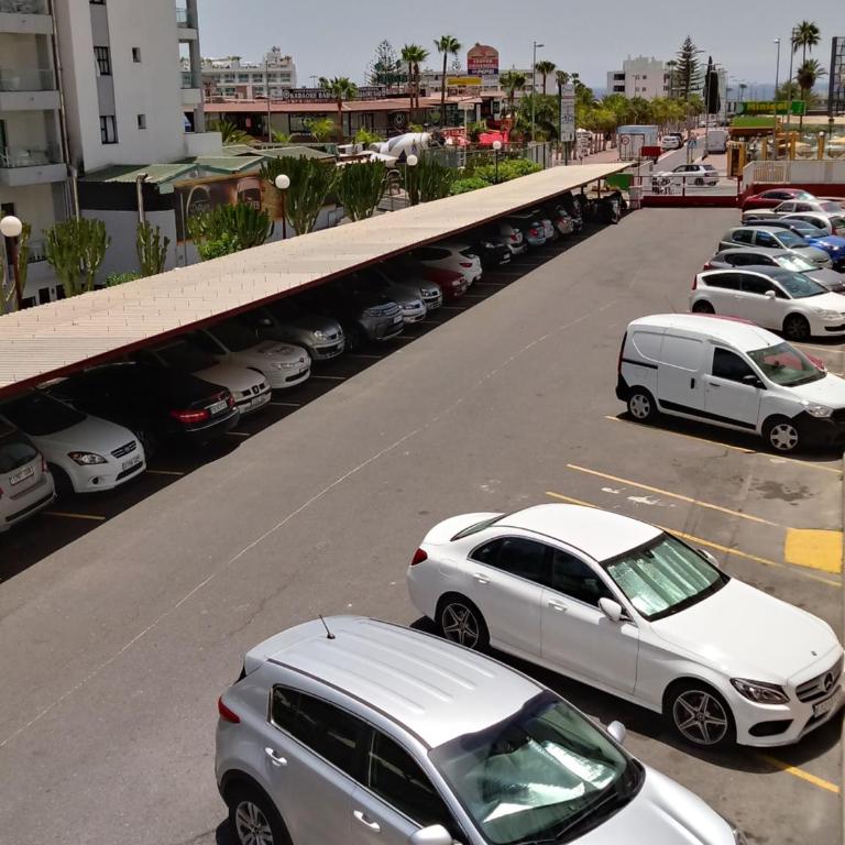 Apartamento Garland Agaete Parque - Apartment with Garden View - 25