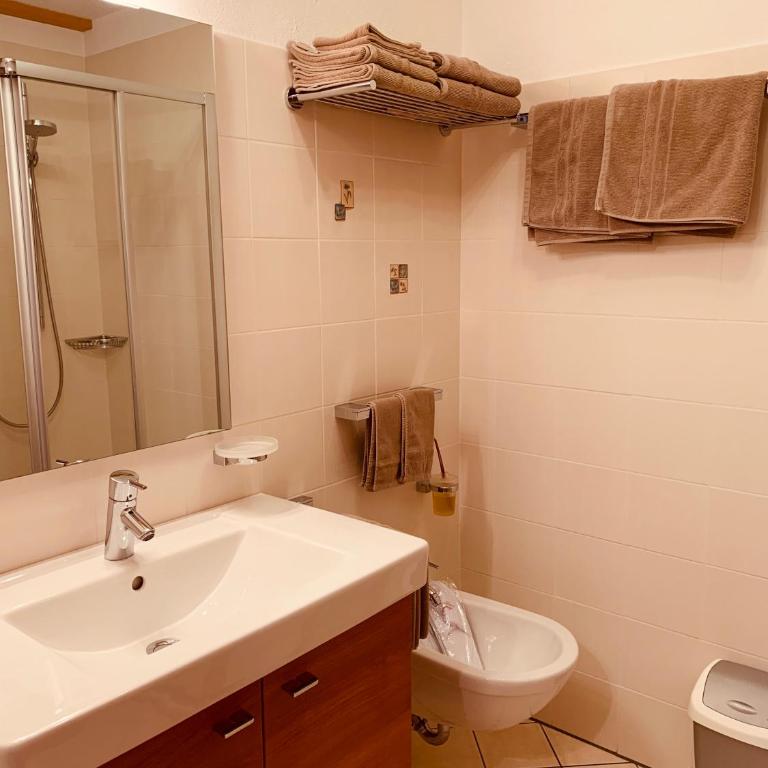 Apartments Grossgasteiger - Apartamento de 1 dormitorio - 14