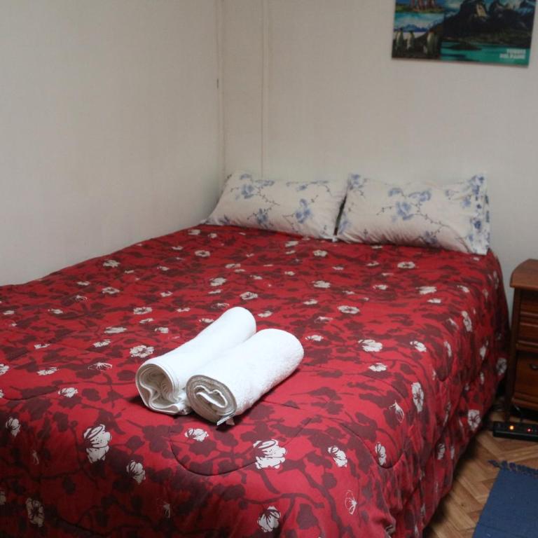 Aska Patagonia - Habitación con cama grande - 1