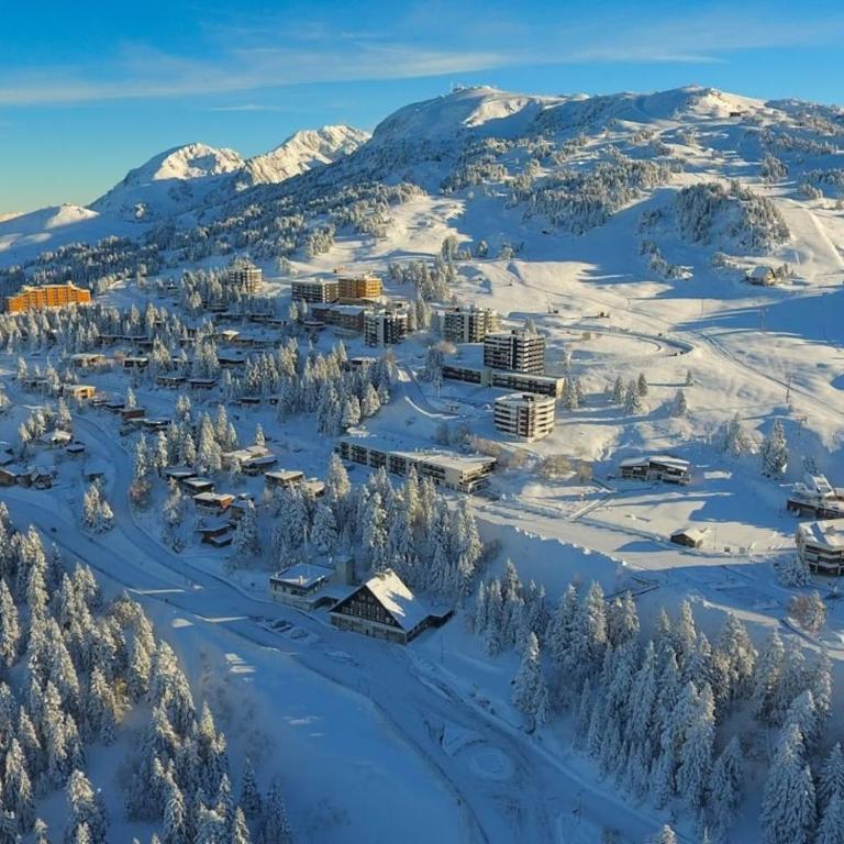 Charmant studio cabine COSY à 100 m des pistes - Apartamento de 1 dormitorio - 31