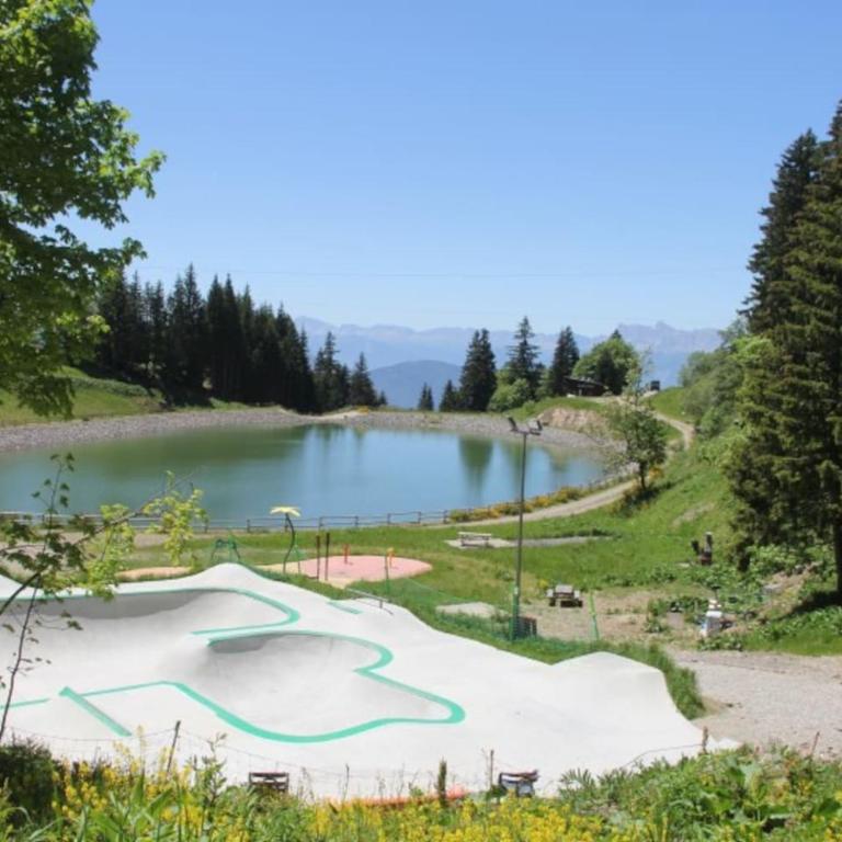 Charmant studio cabine COSY à 100 m des pistes - Apartamento de 1 dormitorio - 40