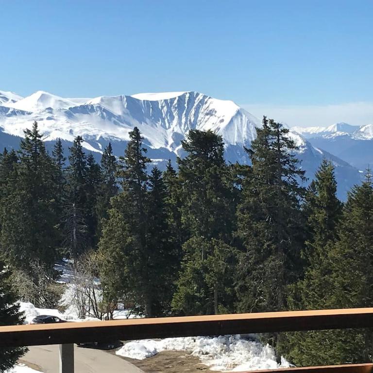 Charmant studio cabine COSY à 100 m des pistes - Apartamento de 1 dormitorio - 22