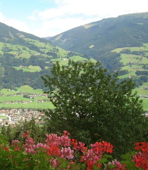 Ferienwohnung Kainer - Apartamento (4 adultos) - 14