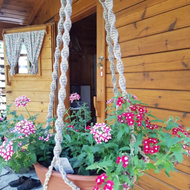 Appartement Königslehen - Appartamento con 1 Camera da Letto, Balcone e Terrazza - 1