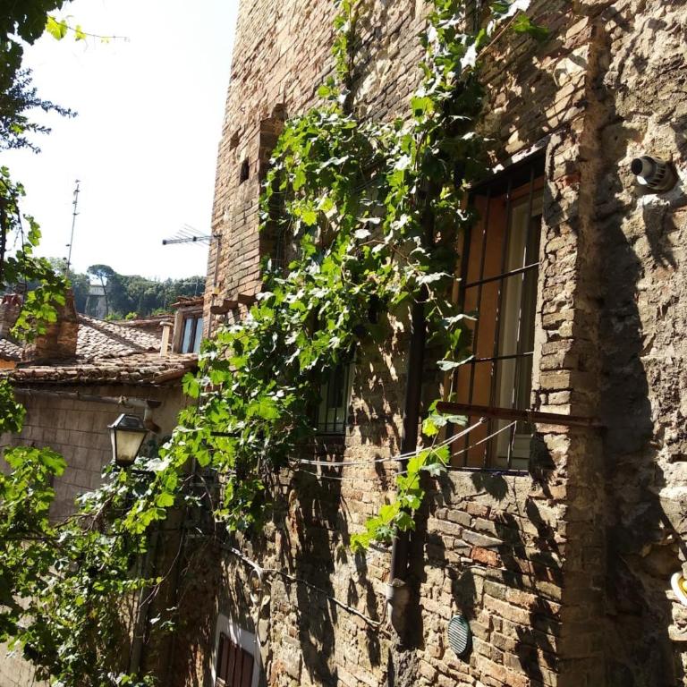 Ai Barutoli - Appartamento con 2 Camere da Letto - 2