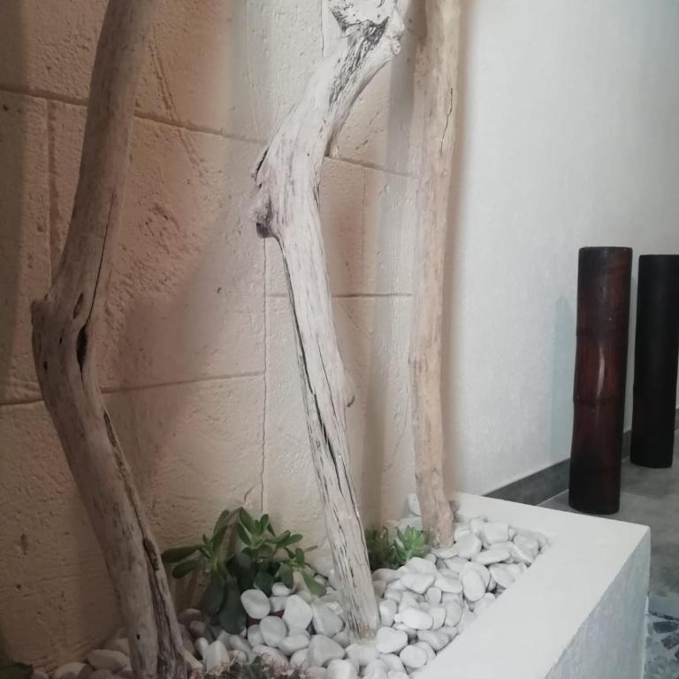 THE ROPE Apartment - Appartamento - 21