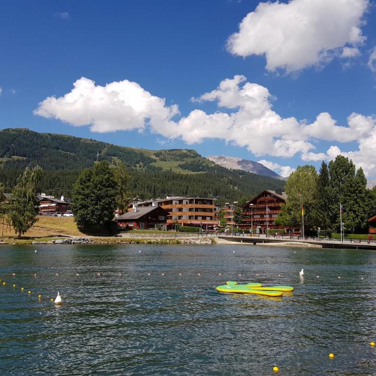 Rue de Bel-Aube Chalet Joli 10 - Chalet - 52