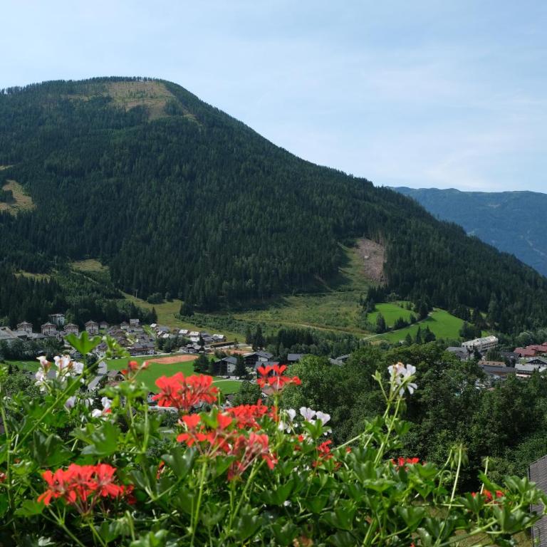 Landhaus Hinteregger - Doppelzimmer mit Balkon - 6