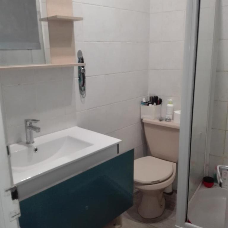 Agréable petit T2 avec extérieur - Studio avec Terrasse - 8