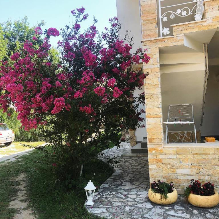Vila Jovana - Apartman Tipa "Suite" sa Balkonom - 2