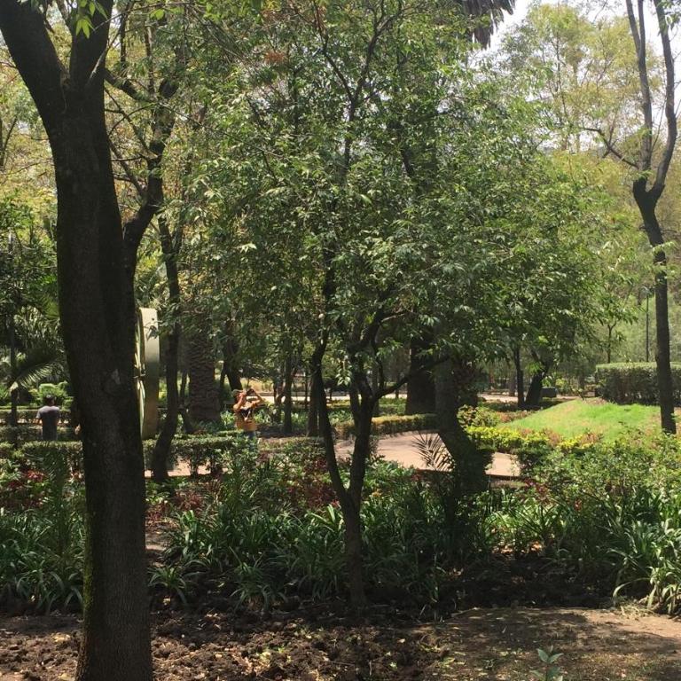 Best location in Mexico City - Apartamento de 3 dormitorios - 27
