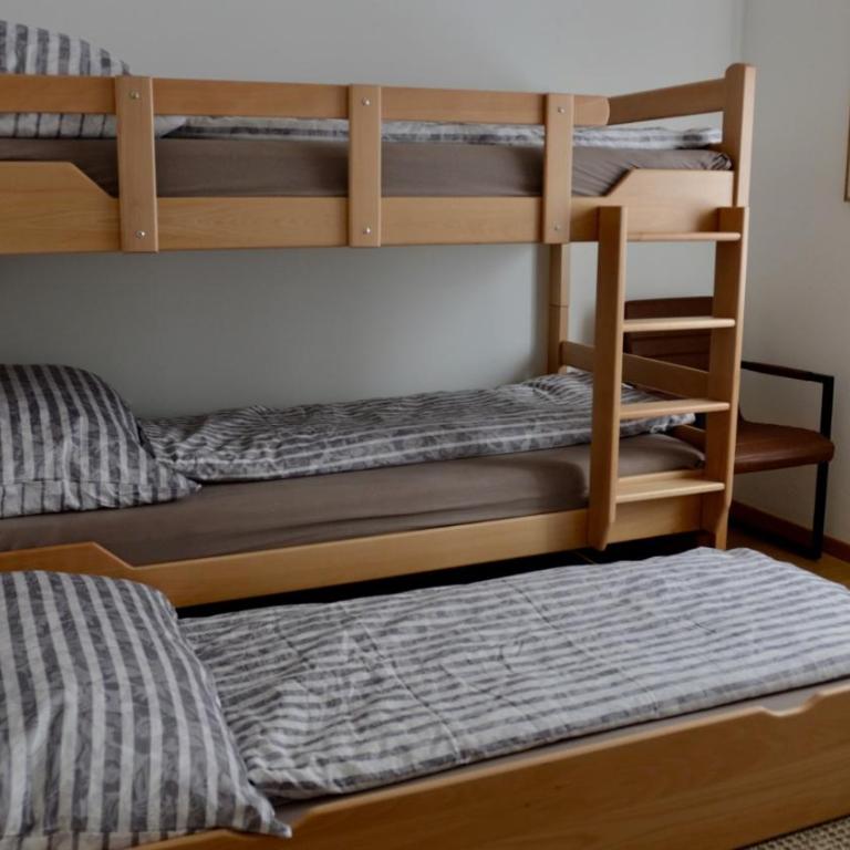 Chasa Rachögna - Apartment mit 1 Schlafzimmer - 13