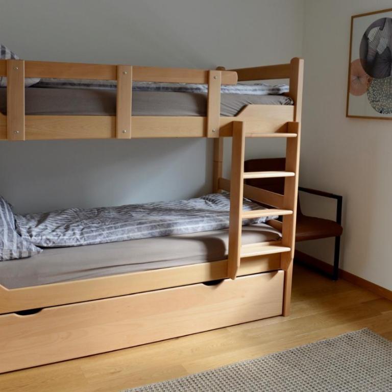 Chasa Rachögna - Apartment mit 1 Schlafzimmer - 14