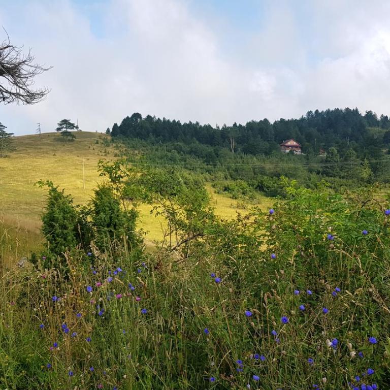VNB apartman Tornik-Zlatibor - Duplex Apartment - 43