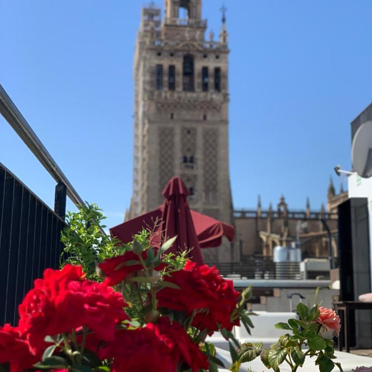 Cathedral Apartment, upper floor apartment - Apartamento - 8