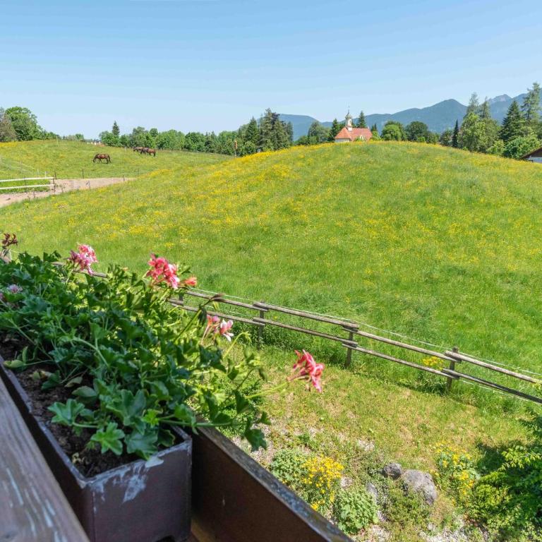 Ferienhof AllgäuMax - Apartment 18 mit Bergblick - 3