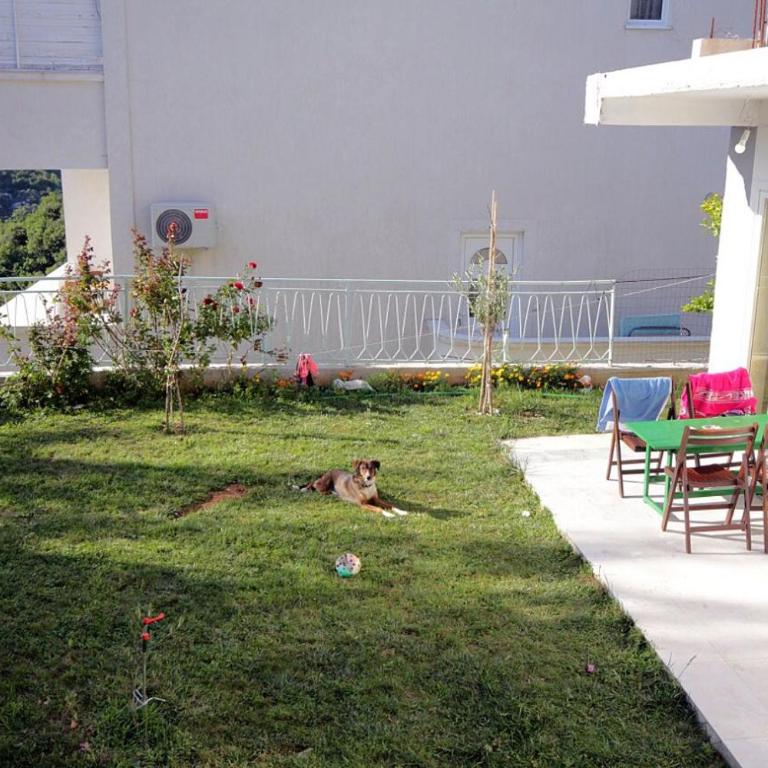 Apartments Mirko - Apartman - Prizemlje - 1