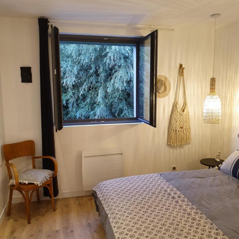 "Au jardin sur l'eau" Hortillonnages - Chambre Double ou Lits Jumeaux - Vue sur Jardin - 6