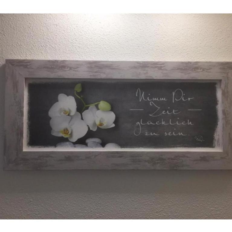 Komfortables Appartement/Garconniere in Graz für Urlaub und Geschäftsreisen - Apartment mit 1 Schlafzimmer - 21