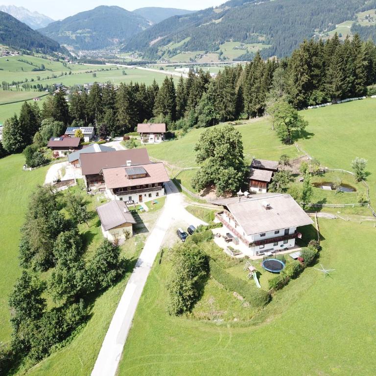 Steinerbauer - Apartment mit Gartenblick - 1