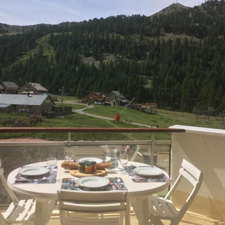 Chaleureux 3 pièces 50m² plein sud avec grande terrasse au pied des pistes à Isola 2000 - Appartement 2 Chambres - 25