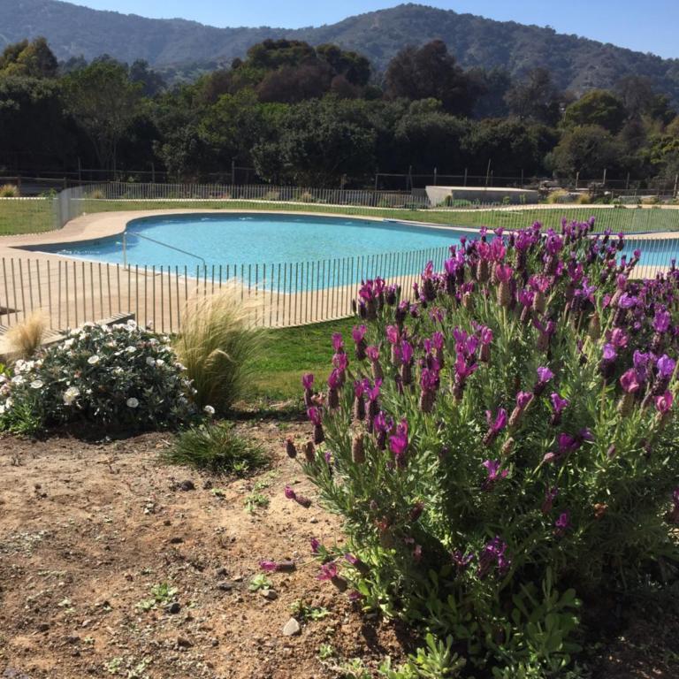Papudo LPV - Three-Bedroom Apartment - 9