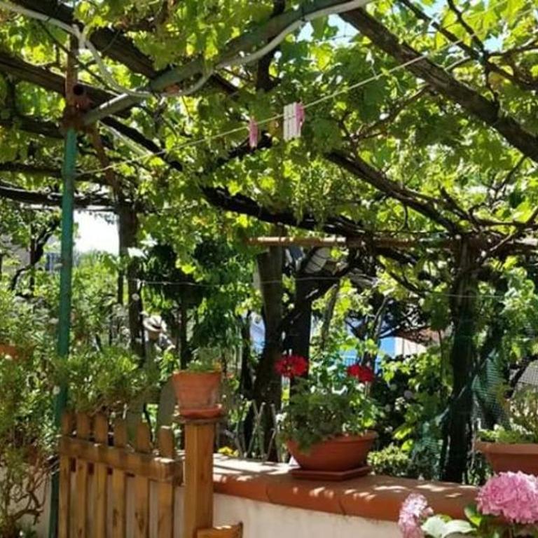 Le Mimose - Casa Vacanze - 32