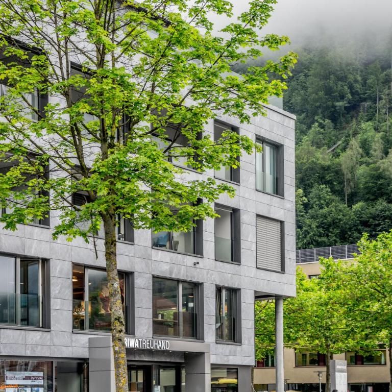 Apartment JungfrauCenter Brienzersee - GRIWA RENT - Apartamento - 13