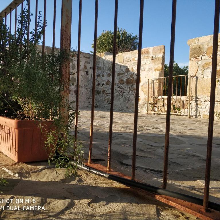 The best in the center of Tarifa - Apartamento con terraza - 18