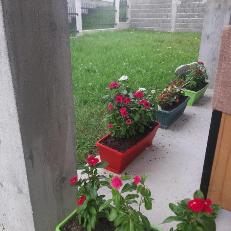 Apartments Andriyana - Apartman sa 2 Spavaće Sobe - 20