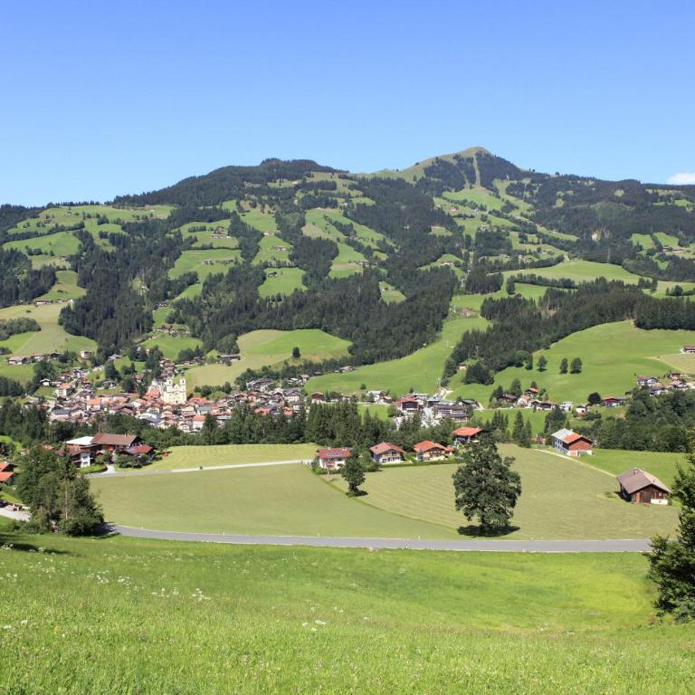 Ferienhaus Hinterebenhub - Ferienhaus mit Balkon und Terrasse - 10