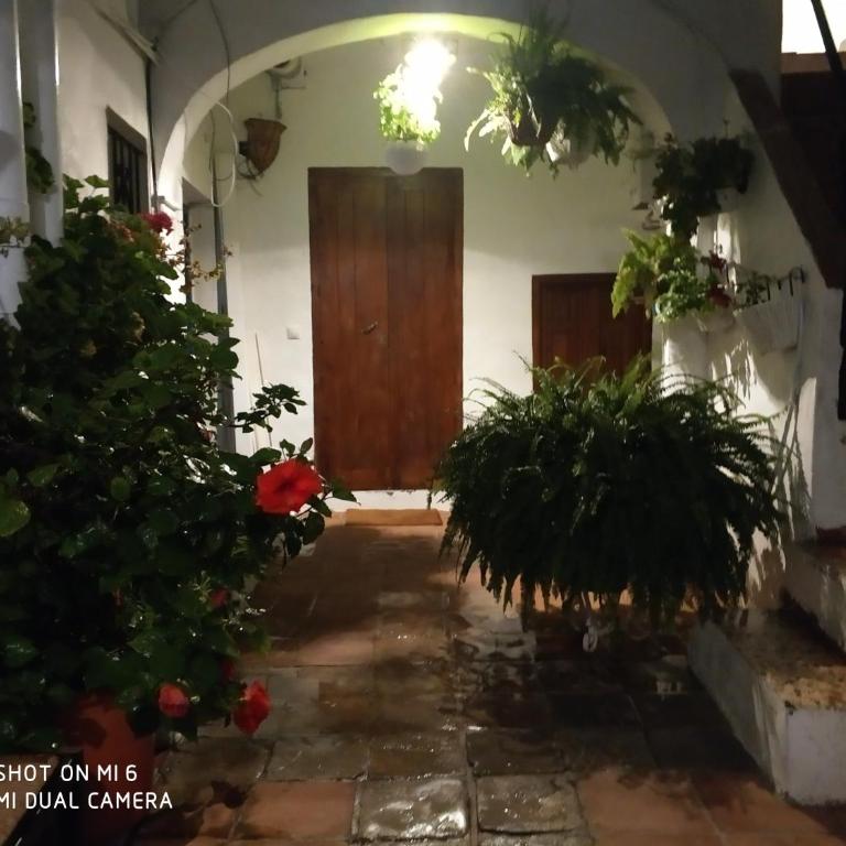 The best in the center of Tarifa 2 - Estudio con 1 cama grande - 21