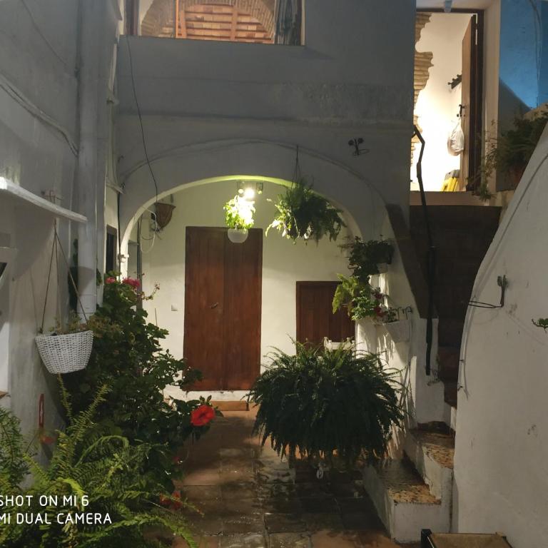 The best in the center of Tarifa 2 - Estudio con 1 cama grande - 18