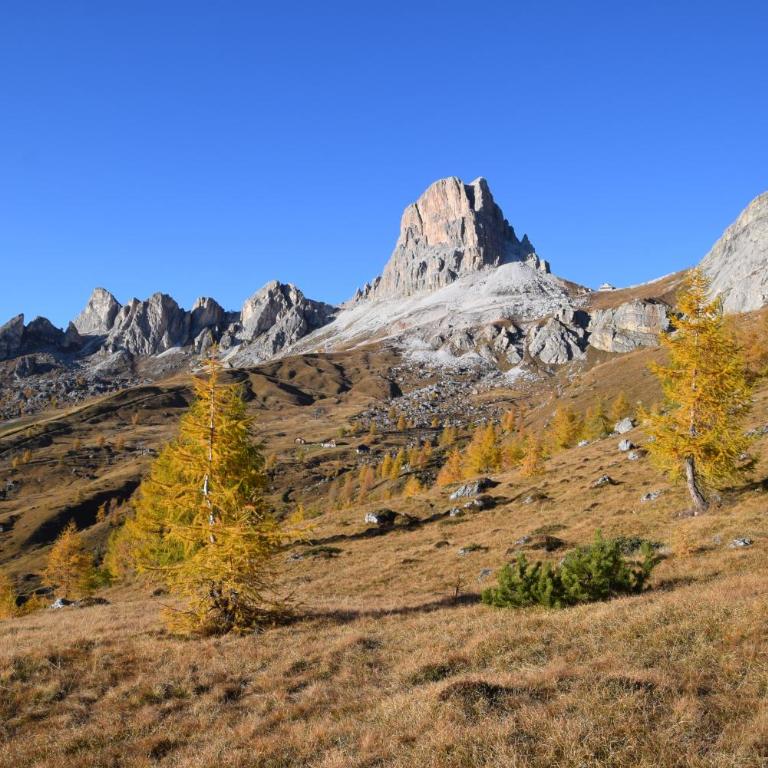 Cesa Fossal - Appartamento - Piano Terra - 33