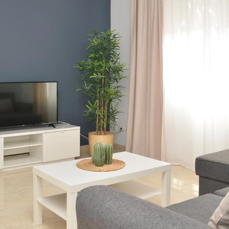 Canary Lofts Palace - Estudio Estándar - 2