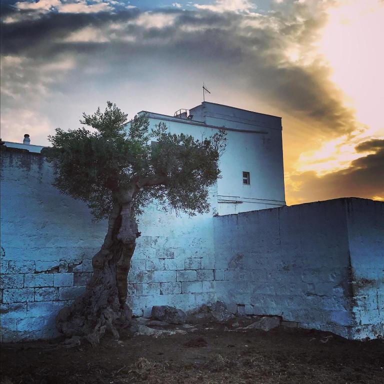 Masseria Ricci - Appartamento - Piano Terra - 23