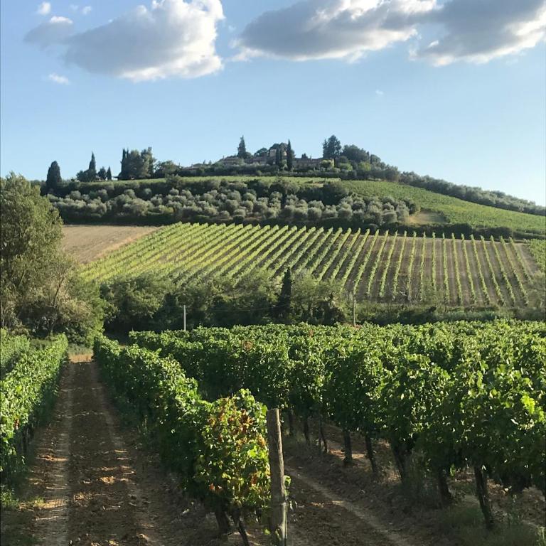 Luxury Serviced Cottage in a Historical Chianti Borgo - Casa con 2 Camere da Letto - 45